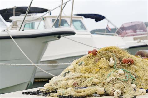 gill fishing|Gill Net Fishing: What You Need to Know About This Method .